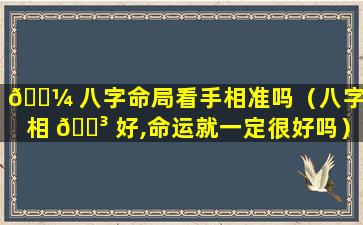 🌼 八字命局看手相准吗（八字手相 🐳 好,命运就一定很好吗）